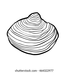 Hand drawn elegant sketch of sea shell isolated on white background. Art vector stylized illustration.