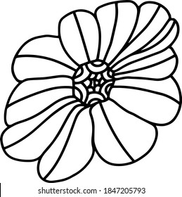  Hand drawn element of flower. Doodle vector illustration  for logo and greeting card. Isolated on white background, EPS 10, stock.