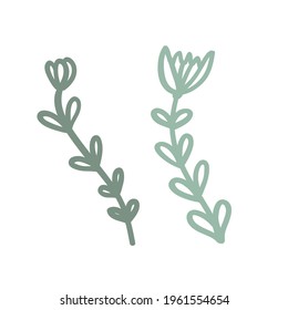 Hand drawn element of flower. Doodle vector illustration  for logo and greeting card. Isolated on white background, EPS 10, stock.