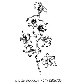 hand drawn element flowers with leaves and branches in line art style. Trendy vector floral botanical sketch illustration on white background. Floral and leaves design for vector element.