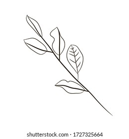 Elementos dibujados a mano del brunch de magnolia con hoja para el diseño. Esbozo para patrones, tarjetas, logo, afiches, pegatinas, embalaje, medios sociales, impresiones textiles. Ilustración vectorial de material. Aislado sobre blanco 