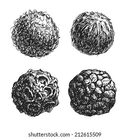Hand drawn elements for your design. Vector eps8 