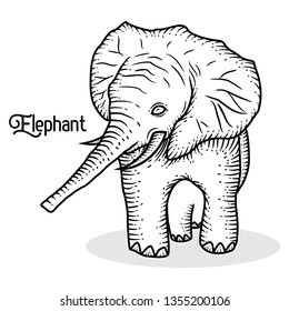 Hand Drawn Elephant