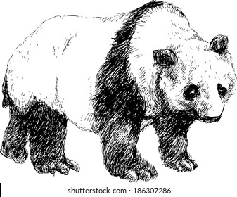 hand drawn elephant
