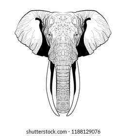 Hand drawn elephant black white vector 