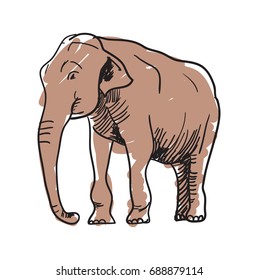 Hand drawn elephant. Indian elephant icon isolated on white background. Hand drown animal vector illustration