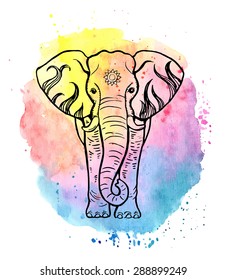 Hand drawn elephant on a colorful watercolor background