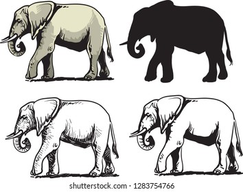 Dibujo de elefante hecho a mano. Ilustración del conducto del vector. - Vector