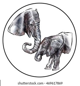 Hand drawn Elephant sketch. Vector lineart illustration on watercolor background.
