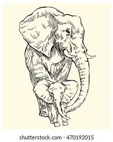 Hand drawn Elephant sketch. Vector lineart illustration.