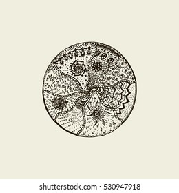 Hand drawn emblem on the white background. Vector logo design template and emblem. leaves and flowers doodle beauty spa. natural badge for cosmetics