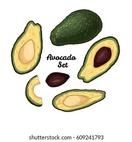 Hand drawn engraved avocado set isolated on white background. Art vector illustration.