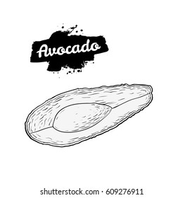 Hand drawn engraved avocado sliced piece isolated on white background. Art vector illustration.