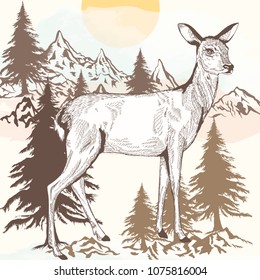 Hand drawn engraved deer vector illustration
