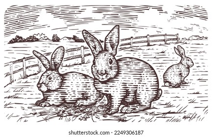 Dibujo a mano grabado de un paisaje agrícola con conejos en una pradera rural. Vista panorámica del país. Ilustración rural vintage