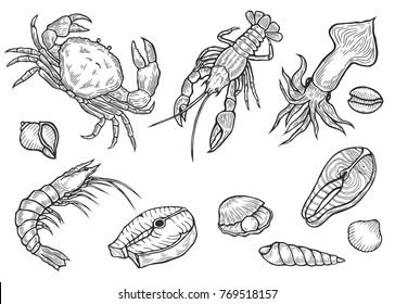 Hand drawn engraved Marine Healthy seafood.