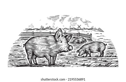 Hand drawn engraved picture of village landscape with pigs eat grass in the pasture. Scenic country view. Vintage rustic illustration