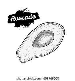 Hand drawn engraved sliced half avocado with seed isolated on white background. Art vector illustration.