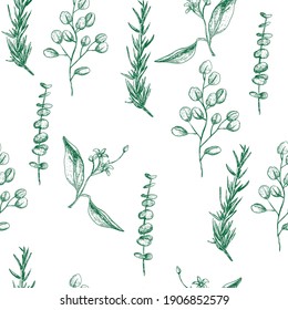 Hand drawn engraved style herbs and leaves seamless pattern