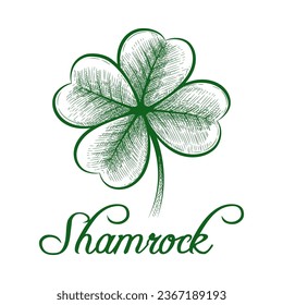 Hojas de shamrock de 4 hojas dibujadas a mano. Símbolo floral irish afortunado diseño gráfico vectorial aislado verde