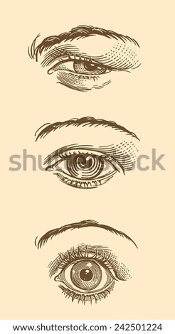 Hand drawn engraving " Eyes. " isolated on color background .8 EPS 