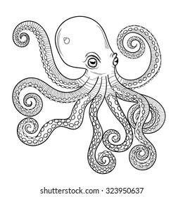 Hand drawn engraving Octopus, animal totem for adult Coloring Page in zentangle style, for tattoo, illustration with high details isolated on white background. Vector sketch. Sea life collection.