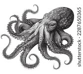 Hand Drawn Engraving Pen and Ink Octopus Vintage Vector Illustration
