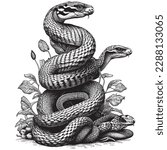 Hand Drawn Engraving Pen and Ink Pile of Snakes Vintage Vector Illustration
