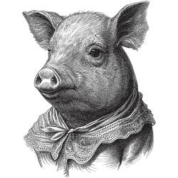 Hand Drawn Engraving Pen And Ink Pig Portrait Dressed In Victorian Era Vintage Vintage Vector Illustration