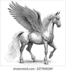Hand Drawn Engraving Pen and Ink Horse with Wings Pegasus Vintage Vector Illustration