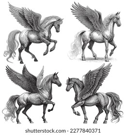 Hand Drawn Engraving Pen and Ink Horse with Wings Pegasus Collection Vintage Vector Illustration