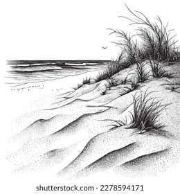 Hand Drawn Engraving Pen and Ink Beach View with Sand and Sea Vintage Vector Illustration