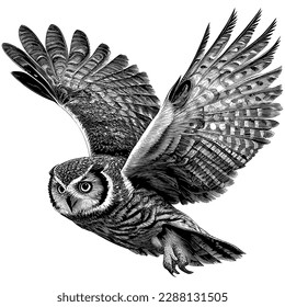 Hand Drawn Engraving Pen   Ink Owl Flying Vintage Vector Illustration