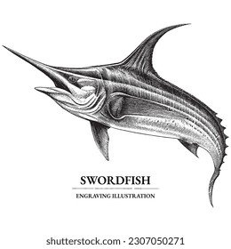 Ilustración de vectores de vintage de pez espada con tinta y pluma de grabado a mano