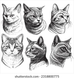 Hand Drawn Engraving Pen   Ink Cat Collection Vintage Vector Illustration