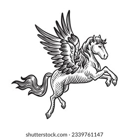 Hand Drawn Engraving Pen and Ink Horse with Wings Pegasus Vintage Vector Illustration