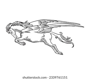 Hand Drawn Engraving Pen and Ink Horse with Wings Pegasus Vintage Vector Illustration