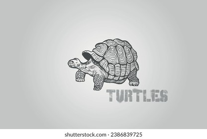 Hand Drawn Engraving Pen and Ink Turtles Vintage Vintage Vector Illustration. Turtles are reptiles of the order Testudines