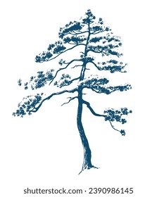 Hand Drawn Engraving Pen and Ink Old pine Tree Vintage Vector Illustration. Bohemia vintage trees 