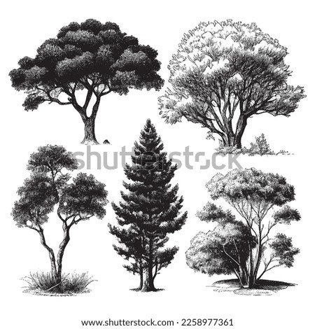 Hand Drawn Engraving Pen and Ink Tree Collection Vintage Vector Illustration Foto stock © 