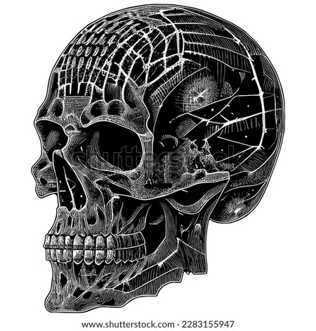 Hand Drawn Engraving Pen and Ink Human Skull Vintage Vector Illustration