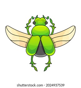 Hand drawn engraving Sketch of Beetle, May bug. Vector illustration for tattoo and handmade decorative brooch. Can be used for postcard, t-shirt, fabric bag or poster. Insect collection.