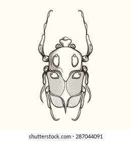 Hand drawn engraving Sketch Scarab Beetle, May bug, European diving beetle. Vector illustration for tattoo or handmade brooch. Can be used for postcard, t-shirt, bag or poster. Insect collection.