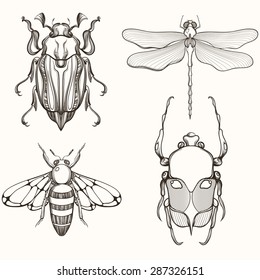 Hand drawn engraving Sketch of Scarab Beetle, Maybug, Bee and Dragonfly. Design for tattoo and handmade decorative brooch. Can be used for for postcard, t-shirt, fabric bag, poster. Insect collection.