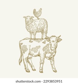 Hand Drawn Engraving Style Cow, Sheep and Chicken Sillhouettes standing on each other like pyramid. Retro drawing vector illustration Isolated