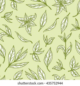 Hand drawn engraving style Green tea leaves Seamless pattern. Vector illustration