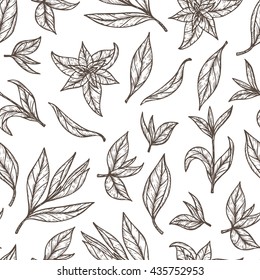 Hand Drawn Engraving Style Green Tea Leaves Seamless Pattern. Black And White Vector Illustration