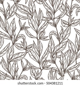 Hand drawn engraving style Green tea leaves Seamless pattern. Black and white Vector illustration