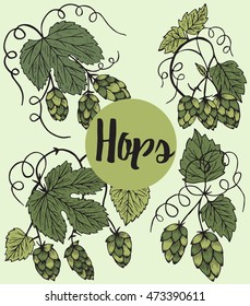 Hand drawn engraving style hops set.Branch with leaves and cones. 
