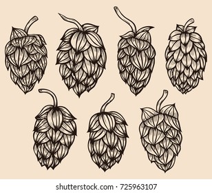 Colored Hand Drawn Engraving Style Hops Stock Vector (Royalty Free ...